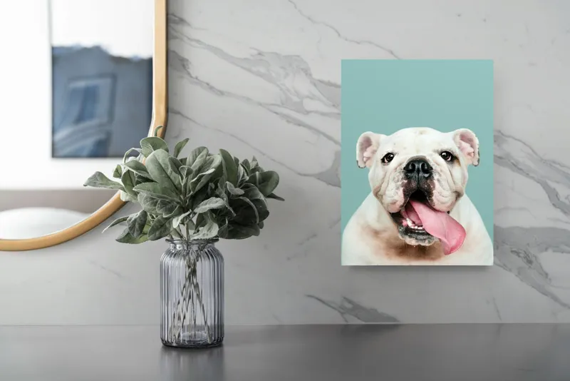 Tablou Canvas, "Bulldog fericit cu limba scoasă", Bulldog, Amuzant, Prietenos, Limbă, Fotografie, Zâmbet, Fundal, Verde, Portret, Drăguț, 26 x 39 cm – poza 4