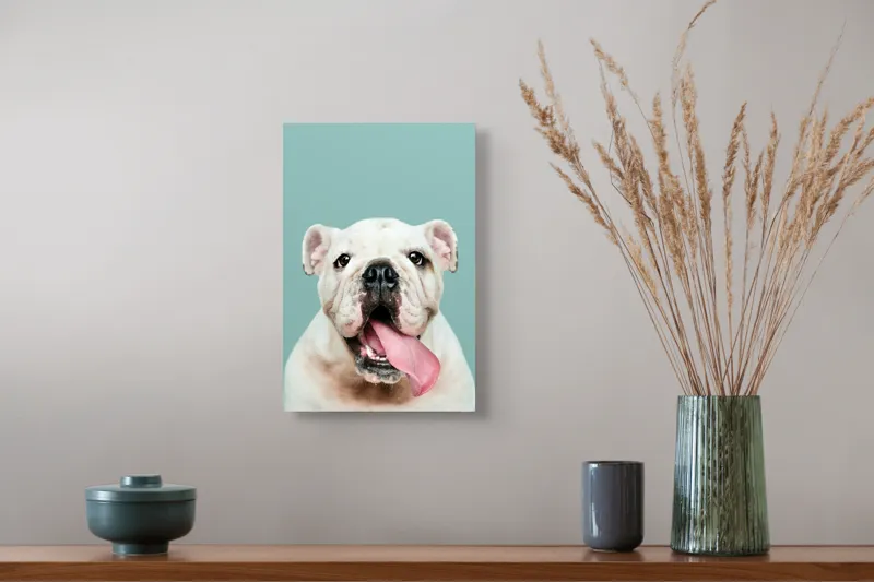 Tablou Canvas, "Bulldog fericit cu limba scoasă", Bulldog, Amuzant, Prietenos, Limbă, Fotografie, Zâmbet, Fundal, Verde, Portret, Drăguț, 26 x 39 cm – poza 5
