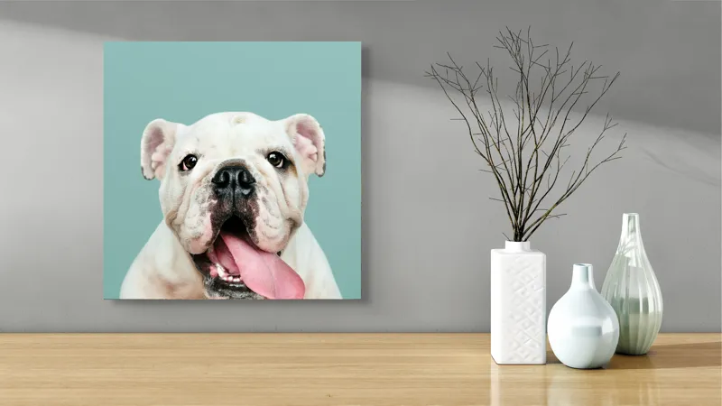 Tablou Canvas, "Bulldog fericit cu limba scoasă", Bulldog, Amuzant, Prietenos, Limbă, Fotografie, Zâmbet, Fundal, Verde, Portret, Drăguț, 50 x 50 cm – poza 3