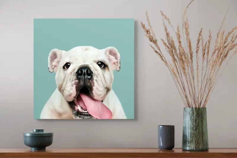 Tablou Canvas, "Bulldog fericit cu limba scoasă", Bulldog, Amuzant, Prietenos, Limbă, Fotografie, Zâmbet, Fundal, Verde, Portret, Drăguț, 50 x 50 cm – poza 4