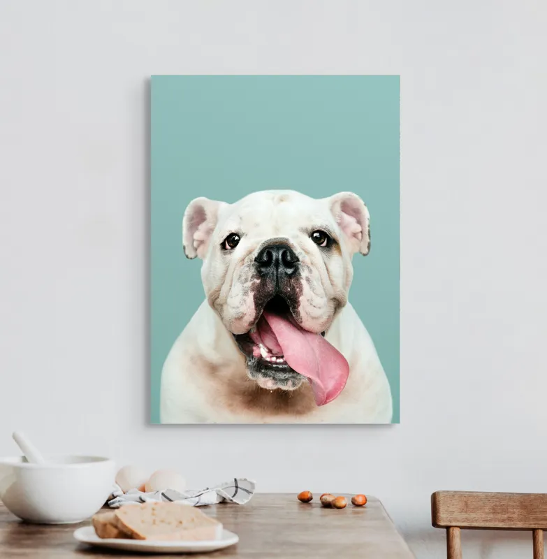 Tablou Canvas, "Bulldog fericit cu limba scoasă", Bulldog, Amuzant, Prietenos, Limbă, Fotografie, Zâmbet, Fundal, Verde, Portret, Drăguț, 50 x 70 cm – poza 3