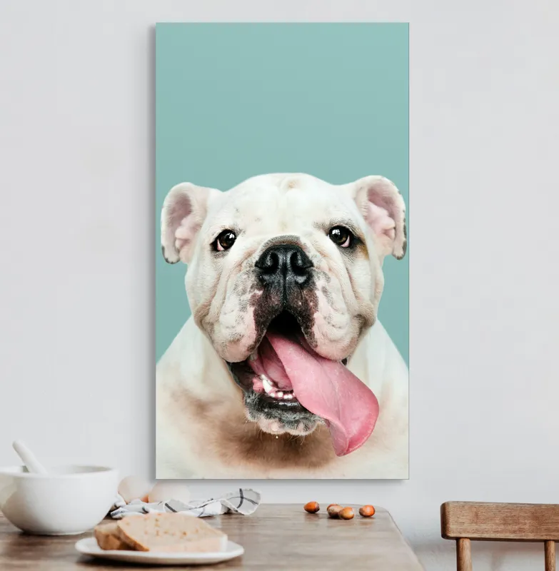 Tablou Canvas, "Bulldog fericit cu limba scoasă", Bulldog, Amuzant, Prietenos, Limbă, Fotografie, Zâmbet, Fundal, Verde, Portret, Drăguț, 50 x 90 cm – poza 3