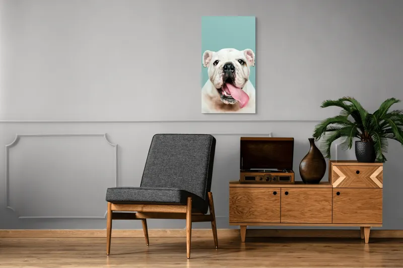 Tablou Canvas, "Bulldog fericit cu limba scoasă", Bulldog, Amuzant, Prietenos, Limbă, Fotografie, Zâmbet, Fundal, Verde, Portret, Drăguț, 50 x 90 cm – poza 8