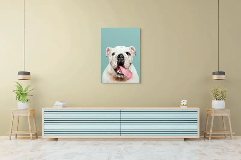 Tablou Canvas, "Bulldog fericit cu limba scoasă", Bulldog, Amuzant, Prietenos, Limbă, Fotografie, Zâmbet, Fundal, Verde, Portret, Drăguț, 70 x 100 cm – poza 5