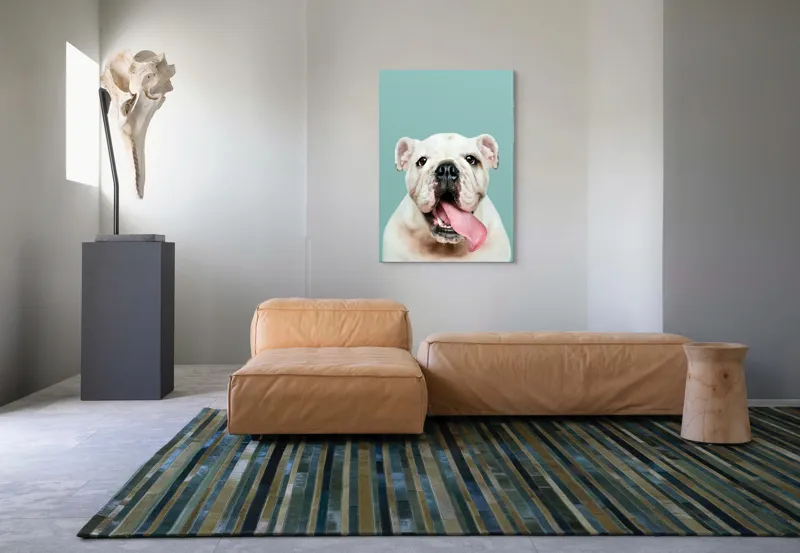 Tablou Canvas, "Bulldog fericit cu limba scoasă", Bulldog, Amuzant, Prietenos, Limbă, Fotografie, Zâmbet, Fundal, Verde, Portret, Drăguț, 70 x 100 cm – poza 7