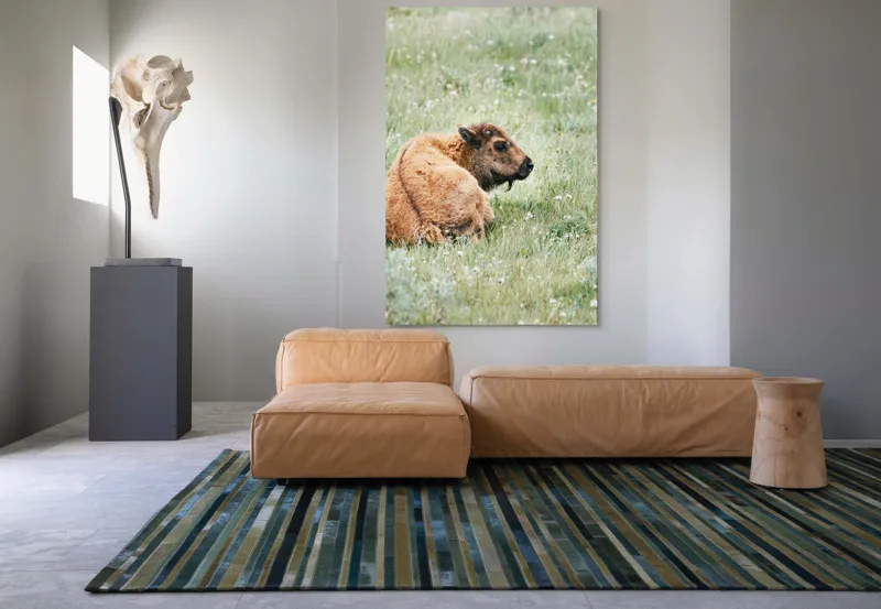 Tablou Canvas, "Pui de bizon odihnindu-se pe câmpie", Nu știu cine este în imagine., 100 x 150 cm – poza 7