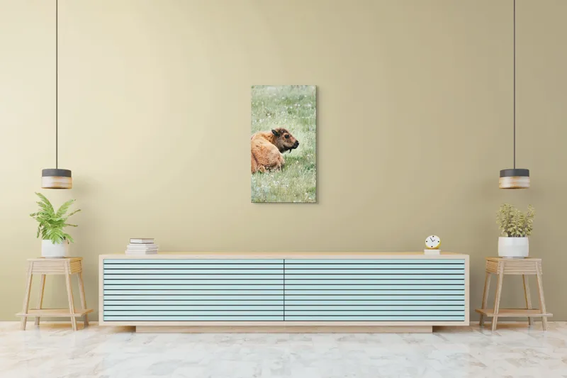 Tablou Canvas, "Pui de bizon odihnindu-se pe câmpie", Nu știu cine este în imagine., 50 x 90 cm – poza 6