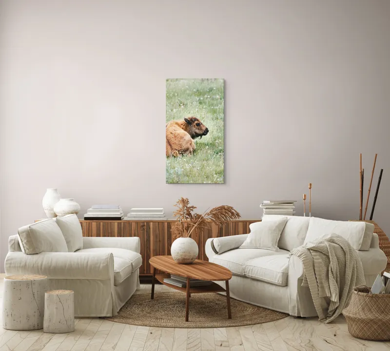 Tablou Canvas, "Pui de bizon odihnindu-se pe câmpie", Nu știu cine este în imagine., 50 x 90 cm – poza 7