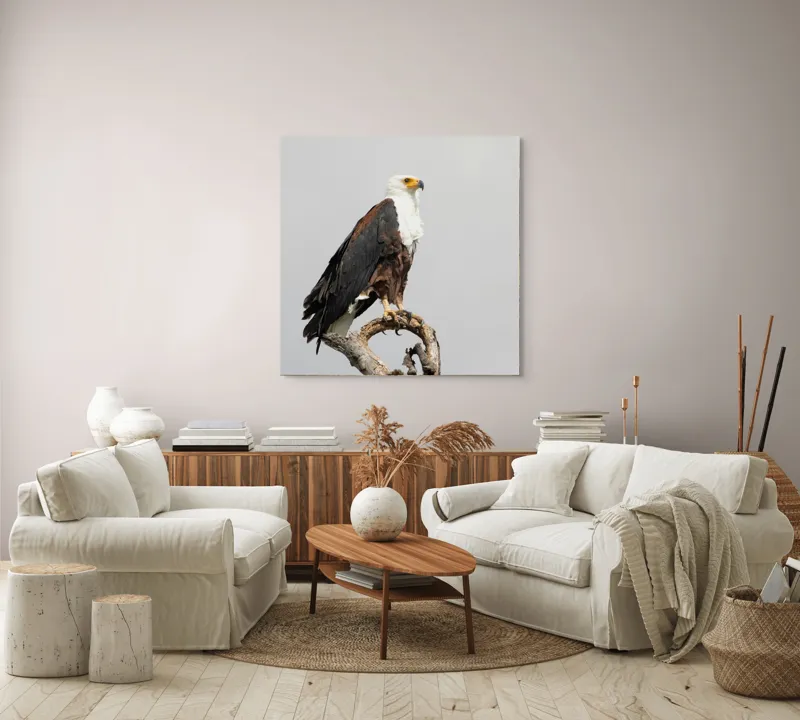 Tablou Canvas, "Vultur pe ramură uscată", Majestic, Regal, Powerful, Proud, Vigilant, Graceful, Commanding, 100 x 100 cm – poza 3