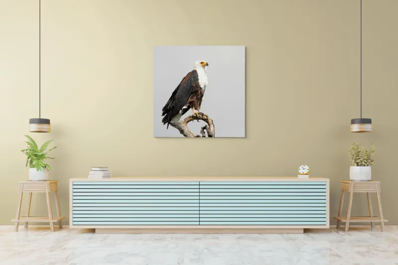 Tablou Canvas, "Vultur pe ramură uscată", Majestic, Regal, Powerful, Proud, Vigilant, Graceful, Commanding, 100 x 100 cm – poza 5