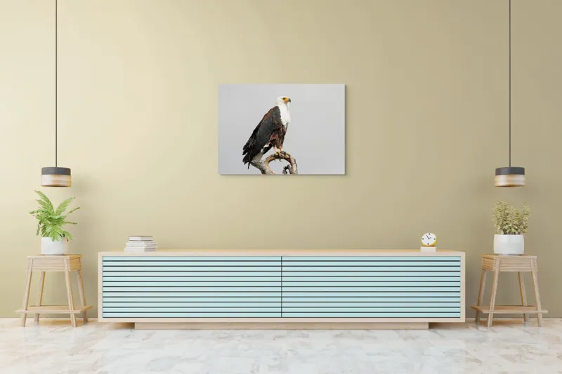 Tablou Canvas, "Vultur pe ramură uscată", Majestic, Regal, Powerful, Proud, Vigilant, Graceful, Commanding, 100 x 70 cm – poza 4