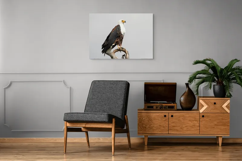 Tablou Canvas, "Vultur pe ramură uscată", Majestic, Regal, Powerful, Proud, Vigilant, Graceful, Commanding, 100 x 70 cm – poza 8