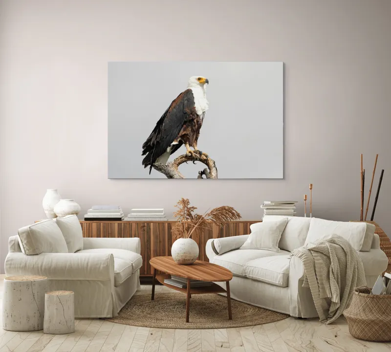 Tablou Canvas, "Vultur pe ramură uscată", Majestic, Regal, Powerful, Proud, Vigilant, Graceful, Commanding, 150 x 100 cm – poza 3