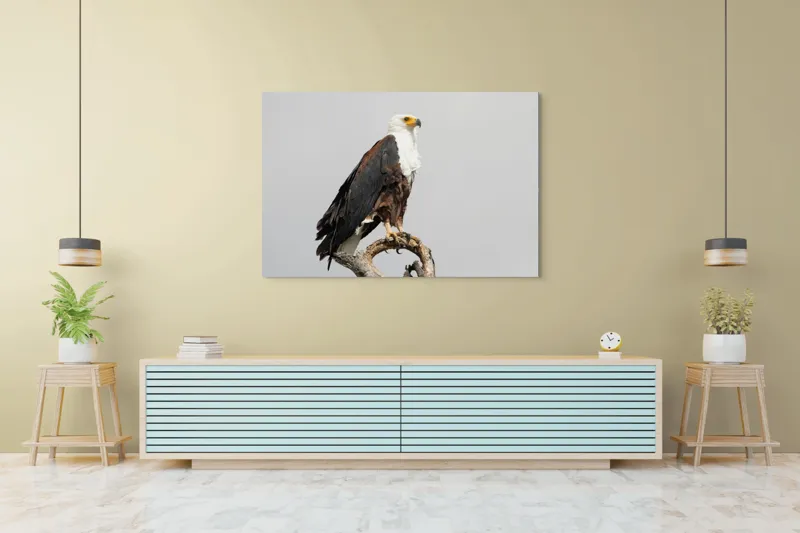 Tablou Canvas, "Vultur pe ramură uscată", Majestic, Regal, Powerful, Proud, Vigilant, Graceful, Commanding, 150 x 100 cm – poza 6