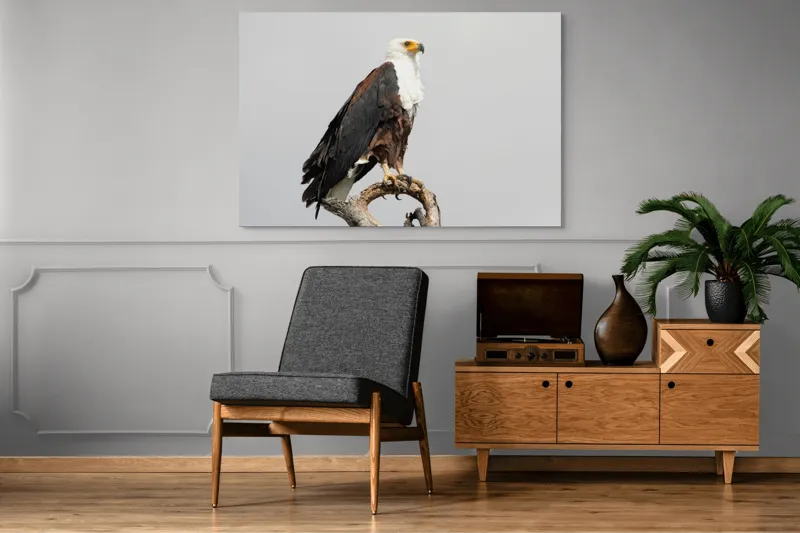 Tablou Canvas, "Vultur pe ramură uscată", Majestic, Regal, Powerful, Proud, Vigilant, Graceful, Commanding, 150 x 100 cm – poza 8