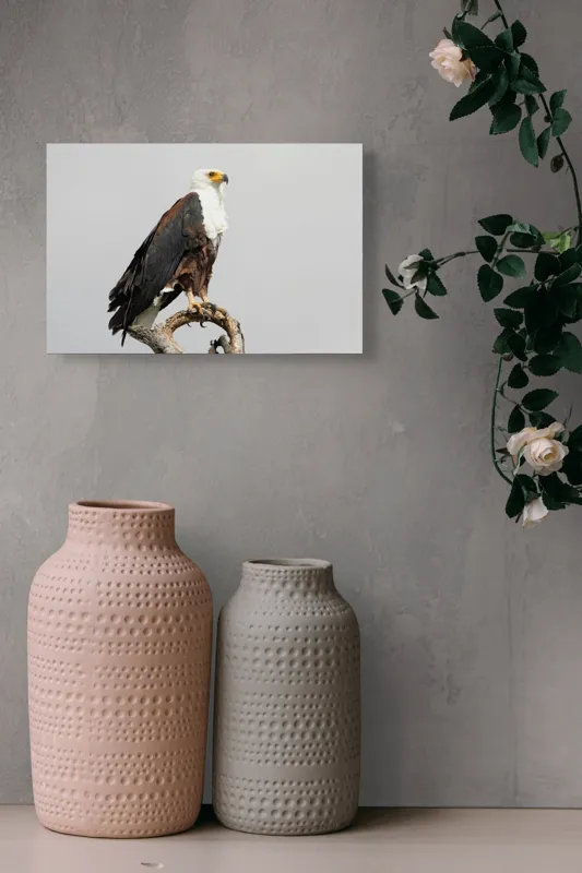 Tablou Canvas, "Vultur pe ramură uscată", Majestic, Regal, Powerful, Proud, Vigilant, Graceful, Commanding, 39 x 26 cm – poza 4