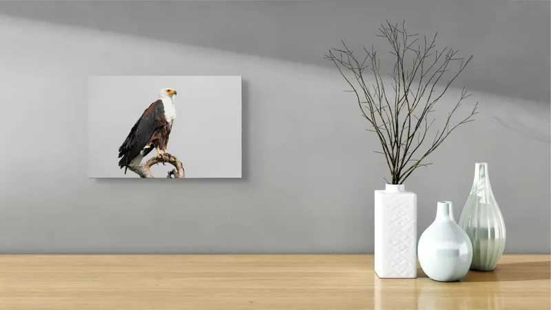 Tablou Canvas, "Vultur pe ramură uscată", Majestic, Regal, Powerful, Proud, Vigilant, Graceful, Commanding, 39 x 26 cm – poza 8