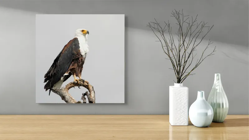 Tablou Canvas, "Vultur pe ramură uscată", Majestic, Regal, Powerful, Proud, Vigilant, Graceful, Commanding, 50 x 50 cm – poza 3
