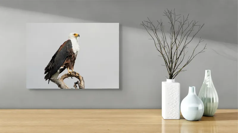 Tablou Canvas, "Vultur pe ramură uscată", Majestic, Regal, Powerful, Proud, Vigilant, Graceful, Commanding, 54 x 39 cm – poza 3