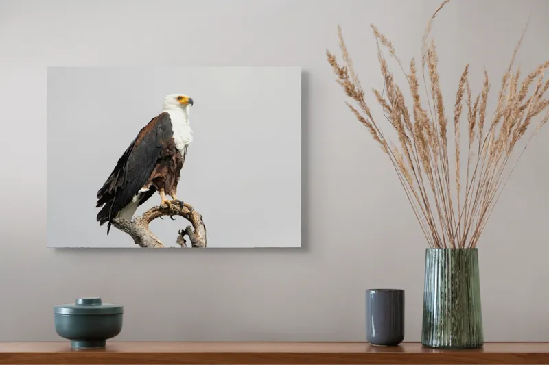 Tablou Canvas, "Vultur pe ramură uscată", Majestic, Regal, Powerful, Proud, Vigilant, Graceful, Commanding, 54 x 39 cm – poza 4