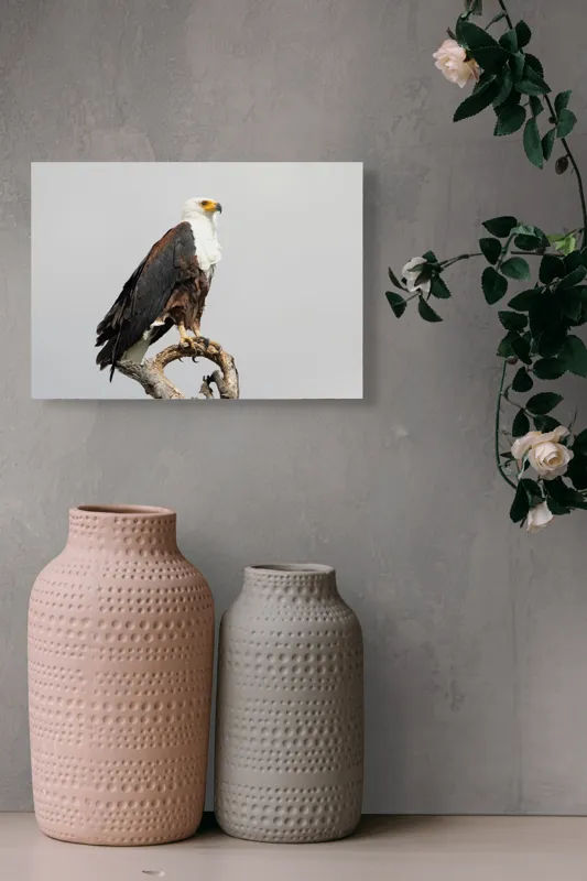 Tablou Canvas, "Vultur pe ramură uscată", Majestic, Regal, Powerful, Proud, Vigilant, Graceful, Commanding, 54 x 39 cm – poza 8