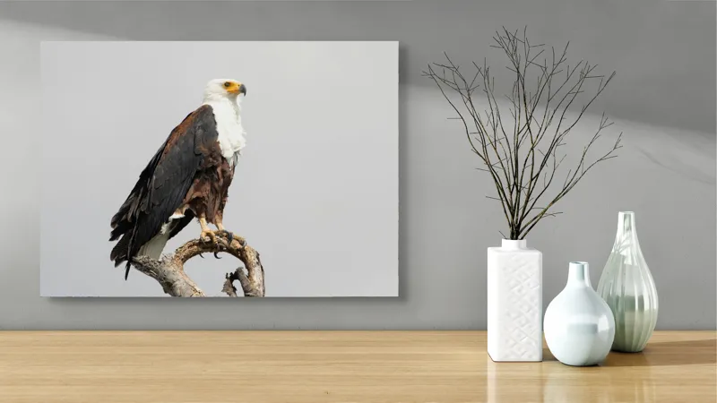 Tablou Canvas, "Vultur pe ramură uscată", Majestic, Regal, Powerful, Proud, Vigilant, Graceful, Commanding, 70 x 50 cm – poza 3