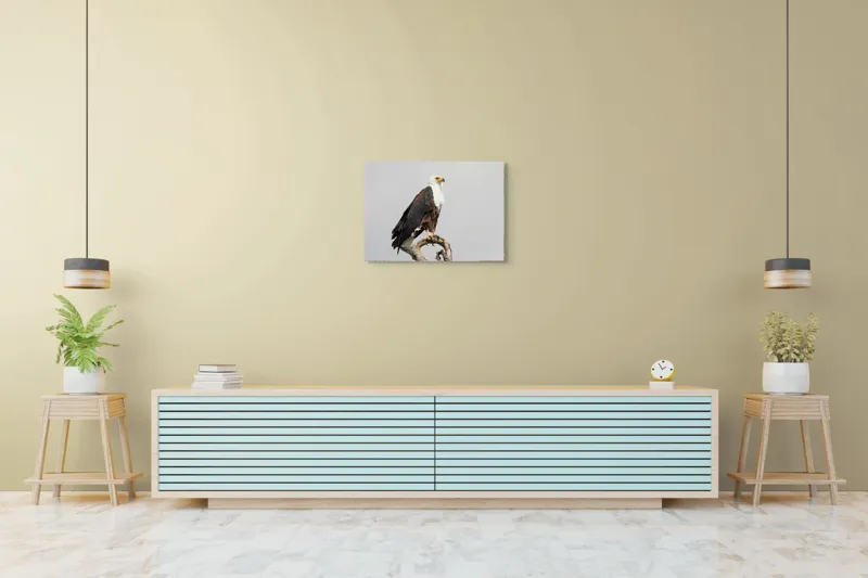 Tablou Canvas, "Vultur pe ramură uscată", Majestic, Regal, Powerful, Proud, Vigilant, Graceful, Commanding, 70 x 50 cm – poza 7