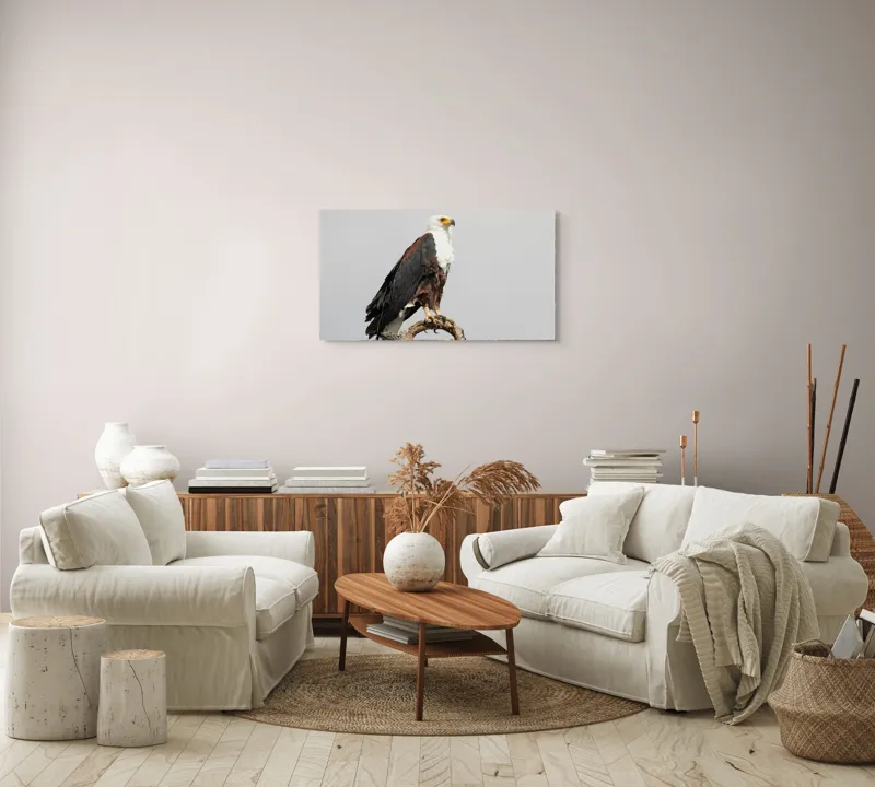 Tablou Canvas, "Vultur pe ramură uscată", Majestic, Regal, Powerful, Proud, Vigilant, Graceful, Commanding, 90 x 50 cm – poza 4