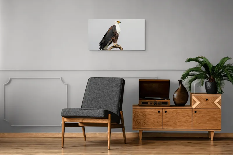 Tablou Canvas, "Vultur pe ramură uscată", Majestic, Regal, Powerful, Proud, Vigilant, Graceful, Commanding, 90 x 50 cm – poza 6