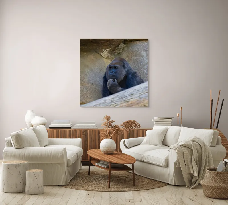Tablou Canvas, "Gorila meditând la timpuri uitate", Gânditor, Gorilă, Contemplare, Zid, Relaxează, Natură, Observație, 100 x 100 cm – poza 3