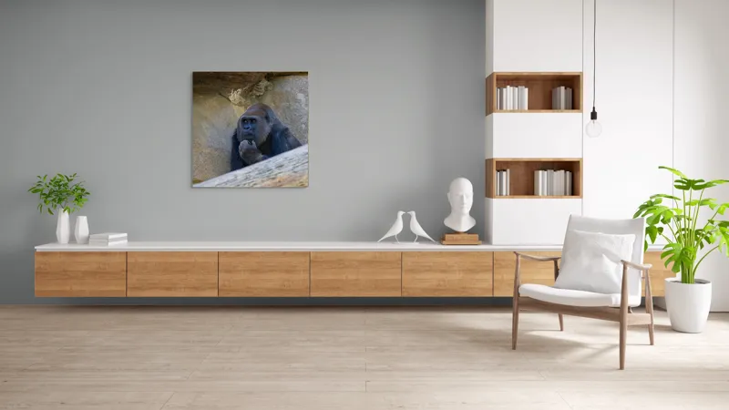 Tablou Canvas, "Gorila meditând la timpuri uitate", Gânditor, Gorilă, Contemplare, Zid, Relaxează, Natură, Observație, 100 x 100 cm – poza 8