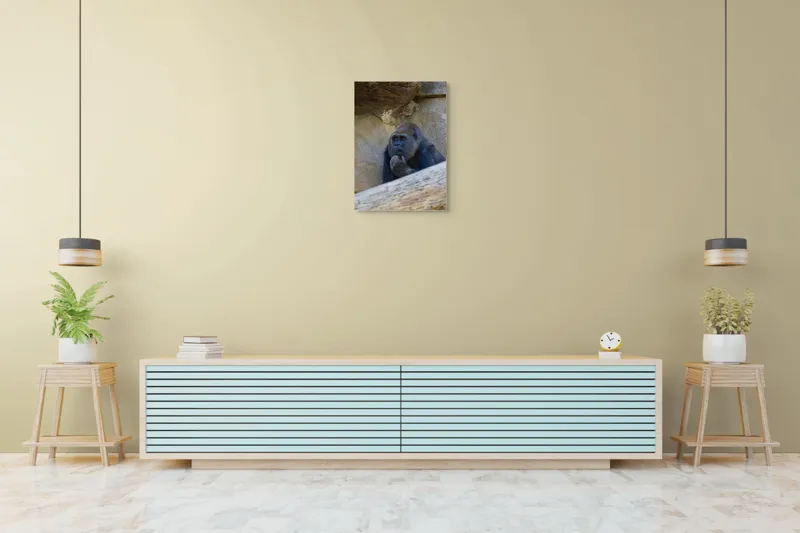Tablou Canvas, "Gorila meditând la timpuri uitate", Gânditor, Gorilă, Contemplare, Zid, Relaxează, Natură, Observație, 50 x 70 cm – poza 6