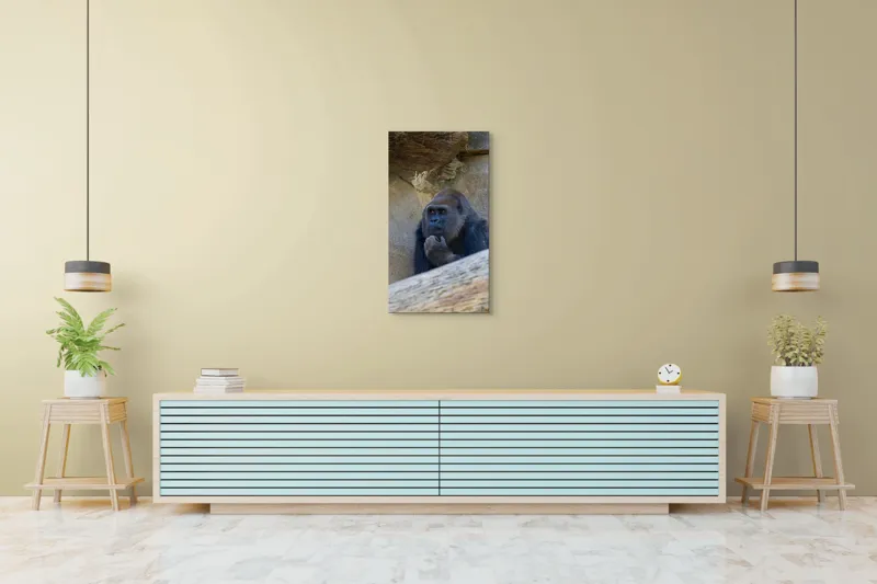 Tablou Canvas, "Gorila meditând la timpuri uitate", Gânditor, Gorilă, Contemplare, Zid, Relaxează, Natură, Observație, 50 x 90 cm – poza 6