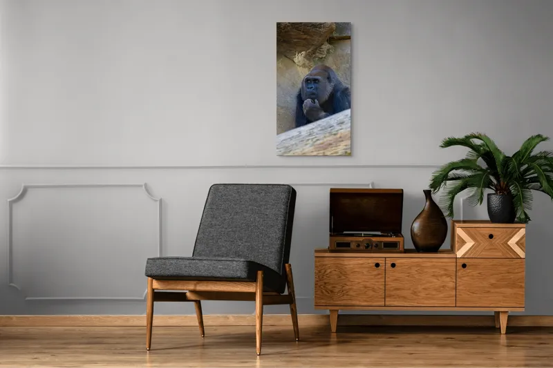 Tablou Canvas, "Gorila meditând la timpuri uitate", Gânditor, Gorilă, Contemplare, Zid, Relaxează, Natură, Observație, 50 x 90 cm – poza 8