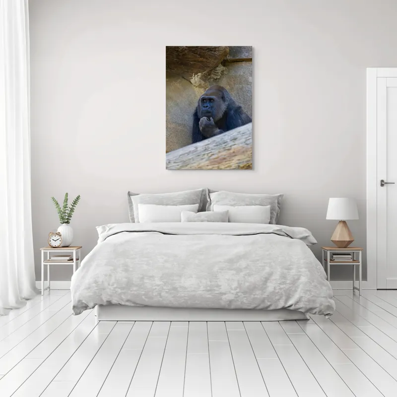 Tablou Canvas, "Gorila meditând la timpuri uitate", Gânditor, Gorilă, Contemplare, Zid, Relaxează, Natură, Observație, 70 x 100 cm – poza 3