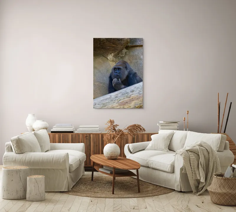 Tablou Canvas, "Gorila meditând la timpuri uitate", Gânditor, Gorilă, Contemplare, Zid, Relaxează, Natură, Observație, 70 x 100 cm – poza 4