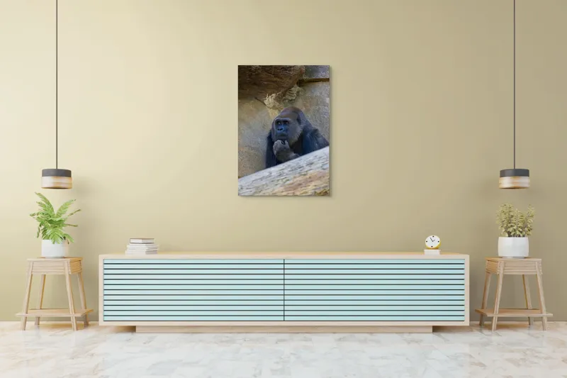 Tablou Canvas, "Gorila meditând la timpuri uitate", Gânditor, Gorilă, Contemplare, Zid, Relaxează, Natură, Observație, 70 x 100 cm – poza 5