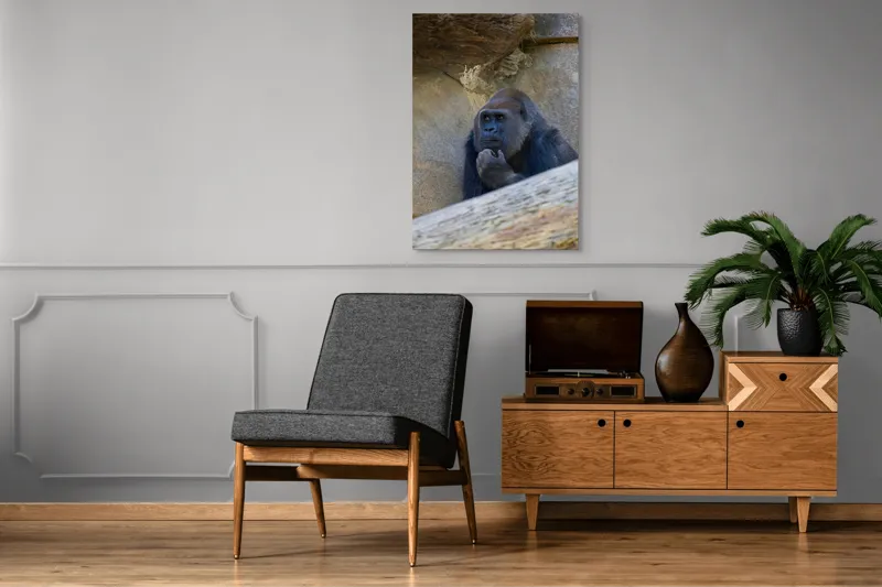 Tablou Canvas, "Gorila meditând la timpuri uitate", Gânditor, Gorilă, Contemplare, Zid, Relaxează, Natură, Observație, 70 x 100 cm – poza 6