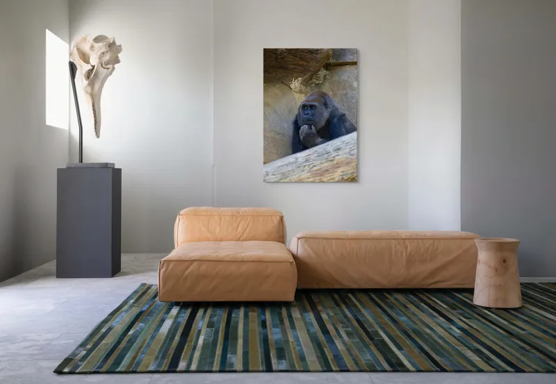 Tablou Canvas, "Gorila meditând la timpuri uitate", Gânditor, Gorilă, Contemplare, Zid, Relaxează, Natură, Observație, 70 x 100 cm – poza 7