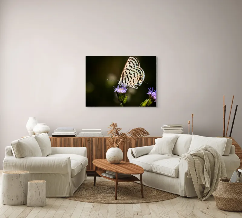 Tablou Canvas, "Fluture delicat pe floare violetă", Fluture, Floricică, Delicatețe, Natură, Fragilitate, Aripă, Petale, Culori, Lumină, Contrast., 100 x 70 cm – poza 3