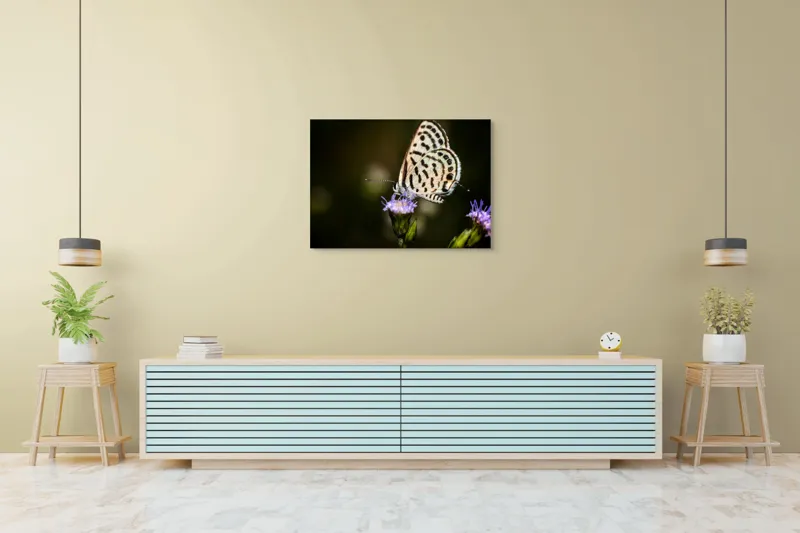 Tablou Canvas, "Fluture delicat pe floare violetă", Fluture, Floricică, Delicatețe, Natură, Fragilitate, Aripă, Petale, Culori, Lumină, Contrast., 100 x 70 cm – poza 4