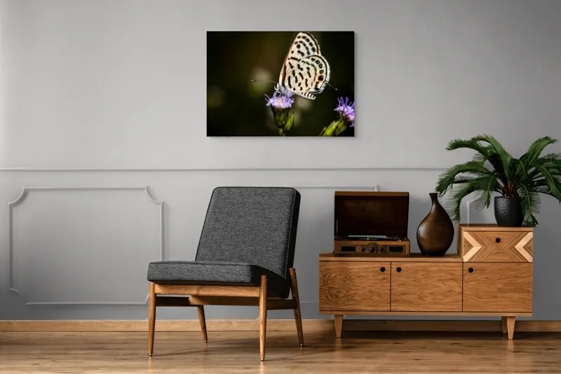 Tablou Canvas, "Fluture delicat pe floare violetă", Fluture, Floricică, Delicatețe, Natură, Fragilitate, Aripă, Petale, Culori, Lumină, Contrast., 100 x 70 cm – poza 8
