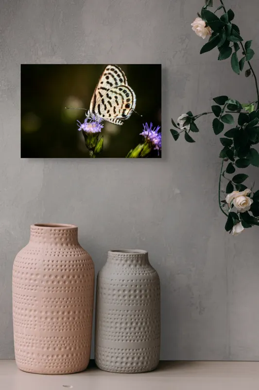 Tablou Canvas, "Fluture delicat pe floare violetă", Fluture, Floricică, Delicatețe, Natură, Fragilitate, Aripă, Petale, Culori, Lumină, Contrast., 39 x 26 cm – poza 4