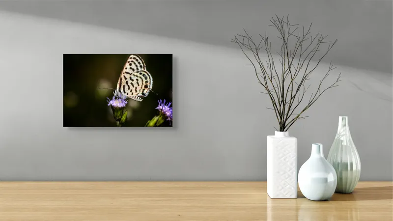 Tablou Canvas, "Fluture delicat pe floare violetă", Fluture, Floricică, Delicatețe, Natură, Fragilitate, Aripă, Petale, Culori, Lumină, Contrast., 39 x 26 cm – poza 8