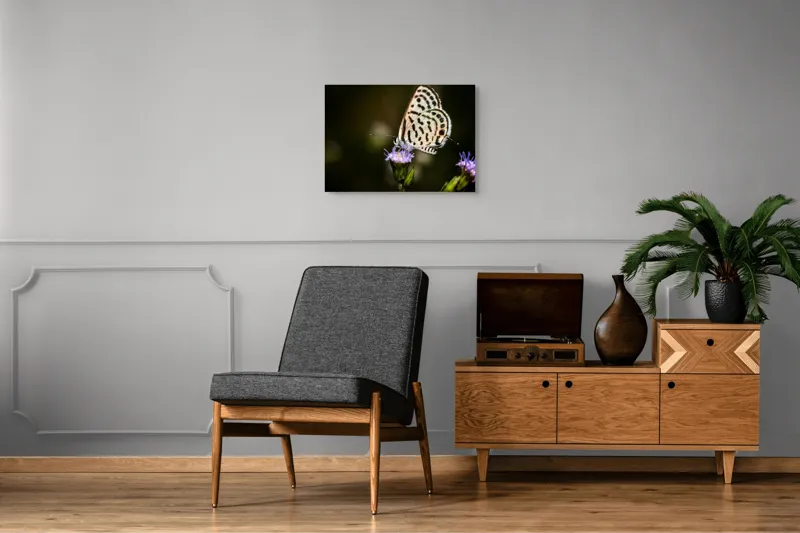 Tablou Canvas, "Fluture delicat pe floare violetă", Fluture, Floricică, Delicatețe, Natură, Fragilitate, Aripă, Petale, Culori, Lumină, Contrast., 70 x 50 cm – poza 4