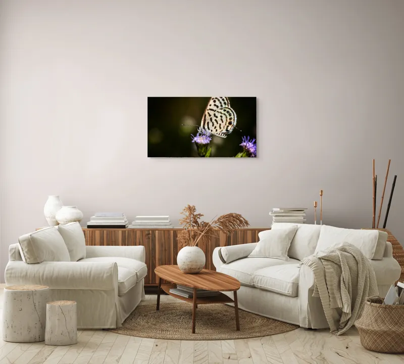 Tablou Canvas, "Fluture delicat pe floare violetă", Fluture, Floricică, Delicatețe, Natură, Fragilitate, Aripă, Petale, Culori, Lumină, Contrast., 90 x 50 cm – poza 4