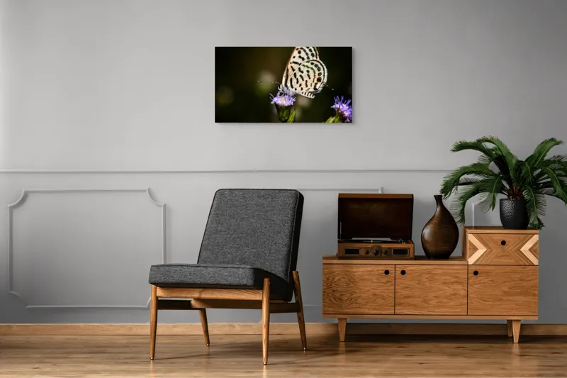 Tablou Canvas, "Fluture delicat pe floare violetă", Fluture, Floricică, Delicatețe, Natură, Fragilitate, Aripă, Petale, Culori, Lumină, Contrast., 90 x 50 cm – poza 6