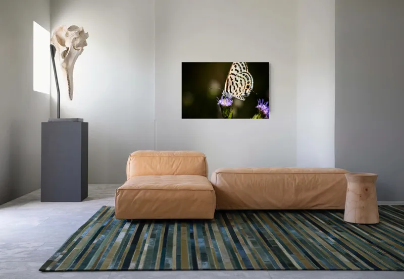 Tablou Canvas, "Fluture delicat pe floare violetă", Fluture, Floricică, Delicatețe, Natură, Fragilitate, Aripă, Petale, Culori, Lumină, Contrast., 90 x 50 cm – poza 8