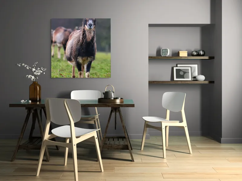 Tablou Canvas, "capra in lumina ploii de primavara", 100 x 100 cm – poza 6