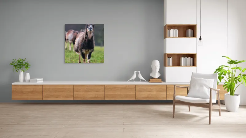 Tablou Canvas, "capra in lumina ploii de primavara", 100 x 100 cm – poza 8